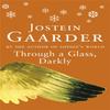 Through A Glass Darkly by Jostein Gaarder Paperback Book 9780753806739