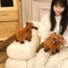 53cm South American Raccoon Doll Simulated Long Tailed Raccoon Plush Toy Birthday and Christmas Gifts ideal for Children