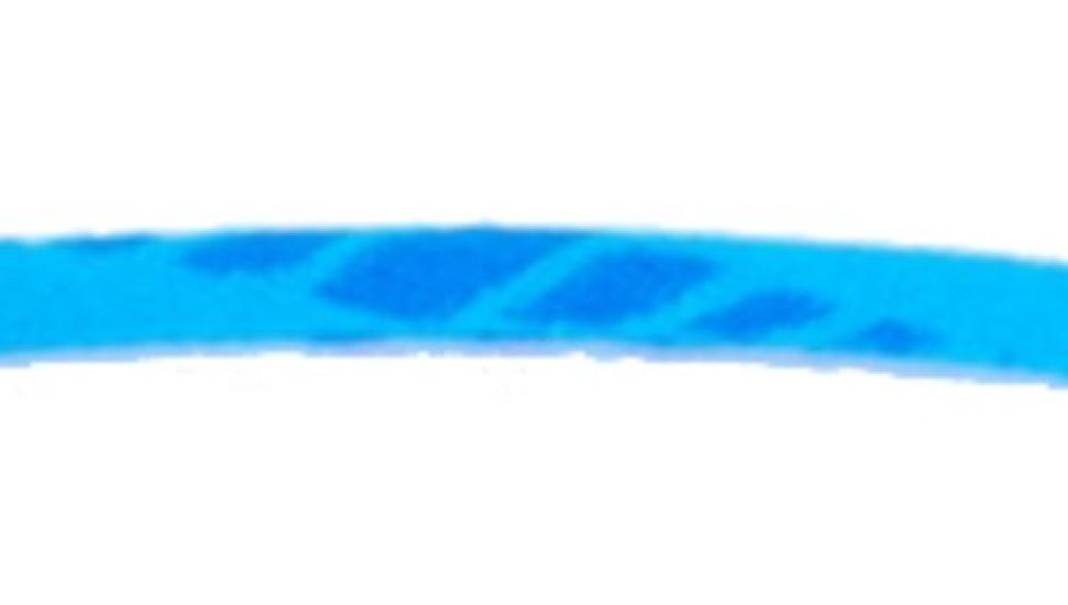 Phiten Necklace RAKUWA Neck X50 Slim Type Blue 40cm
