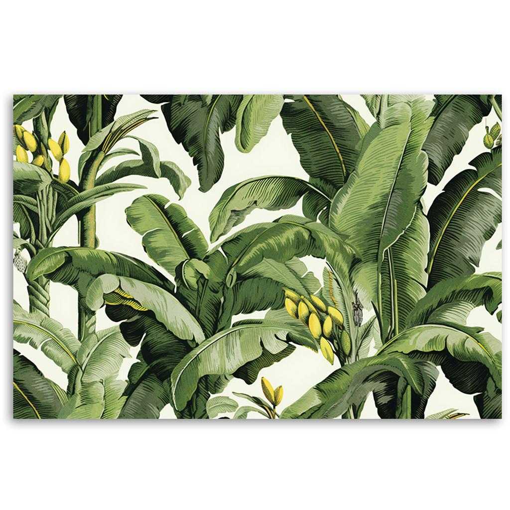 Canvas Print, Green Banana Leaves