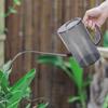 2L Clear Watering Can Stainless Steel Long Spout Watering Pot Handheld Watering