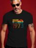 Vintage Tshirt Vintage "Awesome Since 1973" Retro Palm Tr...