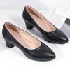 Women Genuine Leather High Thick Heel Shoes Pointed Toe Shallow Mouth Single Shoes Office Career Party Banquet Attendant Pumps