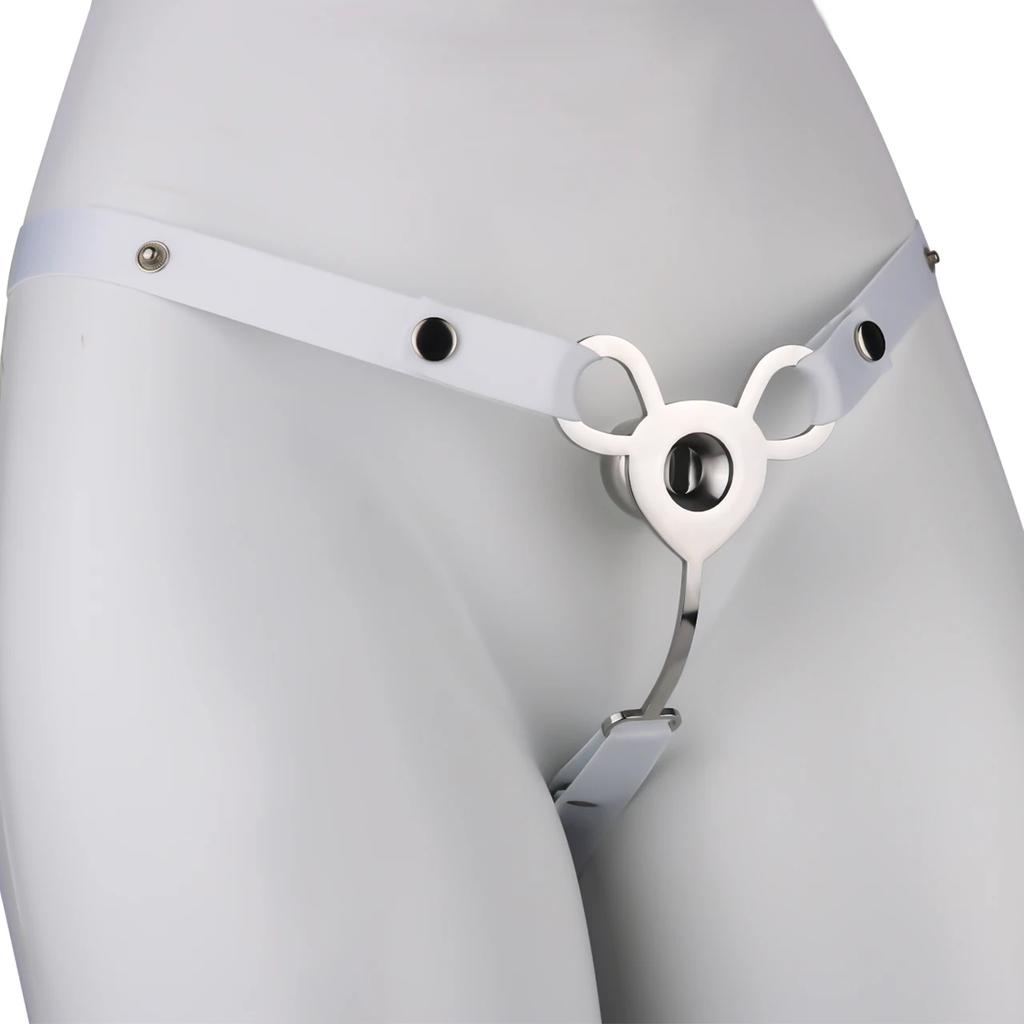 Male Chastity Cage With Chastity Belt Vagina Wish Cock Lock Sissy Transformation Locks With Ear BDSM Sex Toys For Men