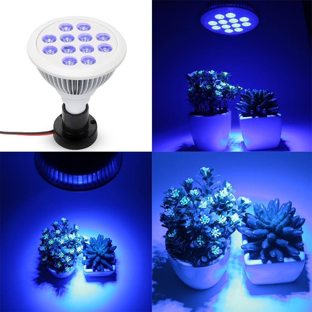 36W E27 LED Blue Light Grow Bulb for Indoor Succulents and Seedlings