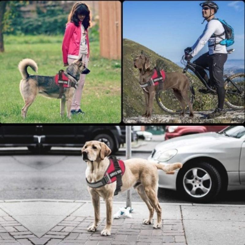 The Dog Pet Leash Is Reflective and Explosion-proof, with A Chest and Back Strap To Prevent The Dog From Breaking Free From The Leash