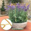 Star Shaped Plant Support Stake for Roses Strawberries Garden Trellis Green 30x40cm