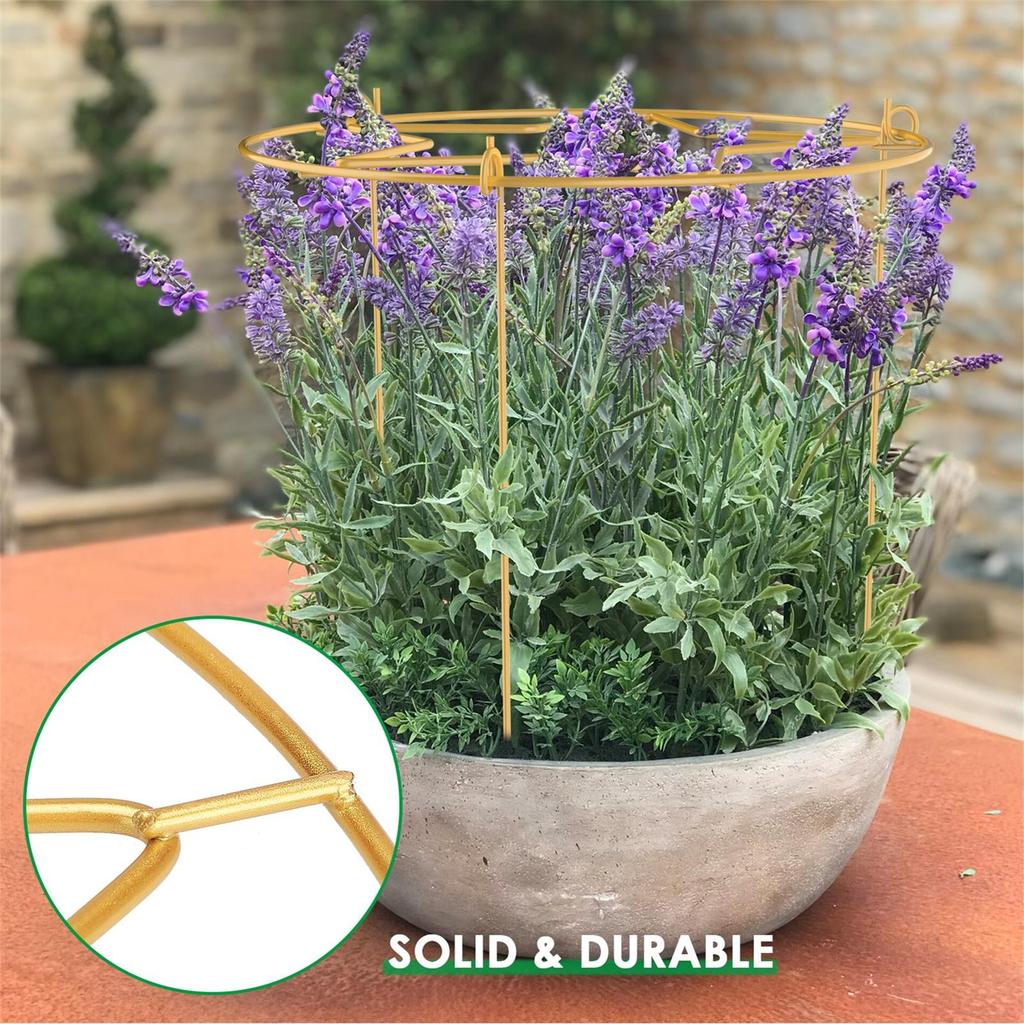 Star Shaped Plant Support Stake for Roses Strawberries Garden Trellis Green 30x40cm