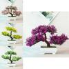 Stunning Bonsai Simulation Artificial Pine Tree Pot Plant For Home And Office Decor