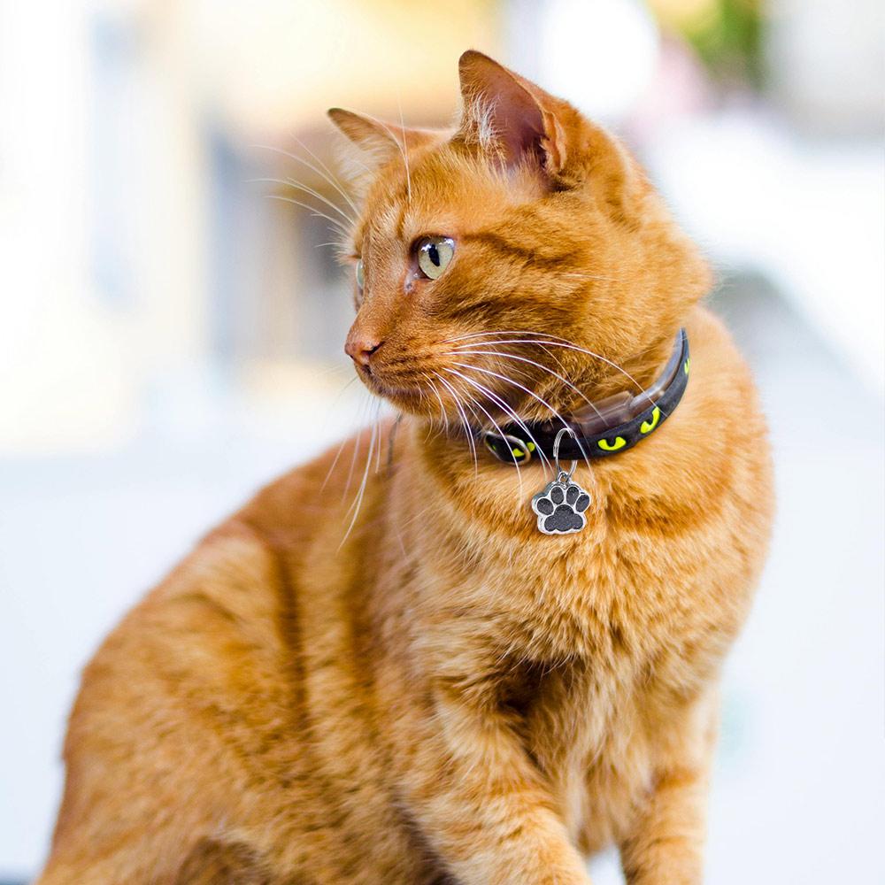 Personalized Dog Cat Tags Anti-Lost Pet Collar Tag Pendant Cats Supplies Pet Glitter Pendant  Cats