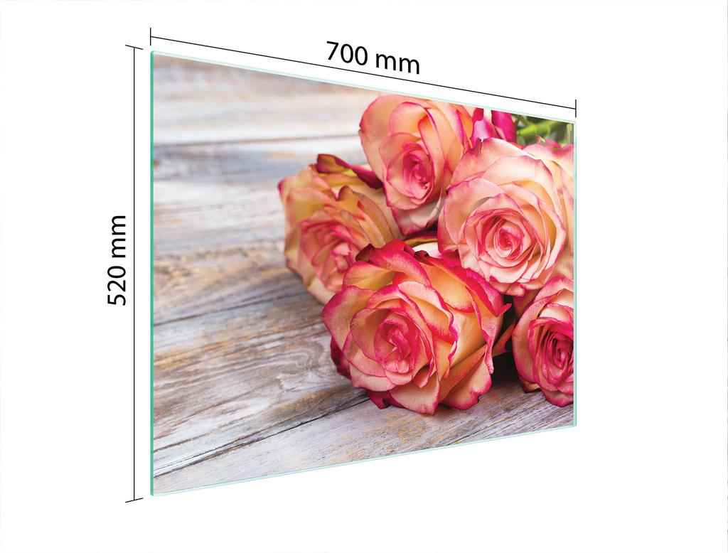 PLACA PROTECTORA DE CRISTAL PARA COCINA 70x52 ROSA
