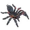 Simulation Insect Model Ornaments Desktop Decoration Kid Children Halloween Toy(PL127‑845 )