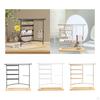 Earrings Organizer Stand Earring Display Convenient Multipurpose Jewelry Holder for
