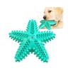 Dog Starfish Teething Toy & Toothbrush: Pet-Friendly Chew Stick