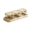 Seasoning Box Set FoodGrade Material Condiment Holder with Spoons Easy To Jar