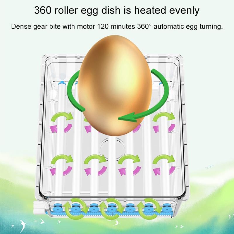 36 Eggs 220V Farm Hatchery Incubator Brooder Machine Egg Hatchers Chicken Automatic Eggs Incubator Bird Quail Brooder