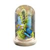 Real Flower Eternal Flower Gift Box Finished Product for Girlfriend Birthday Rose Glass Cover Ornament Valentine's Day Gift