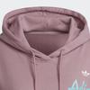 Adidas Originals Hoodie Sports Lifestyle Series Women Hoodies Pink HD9784