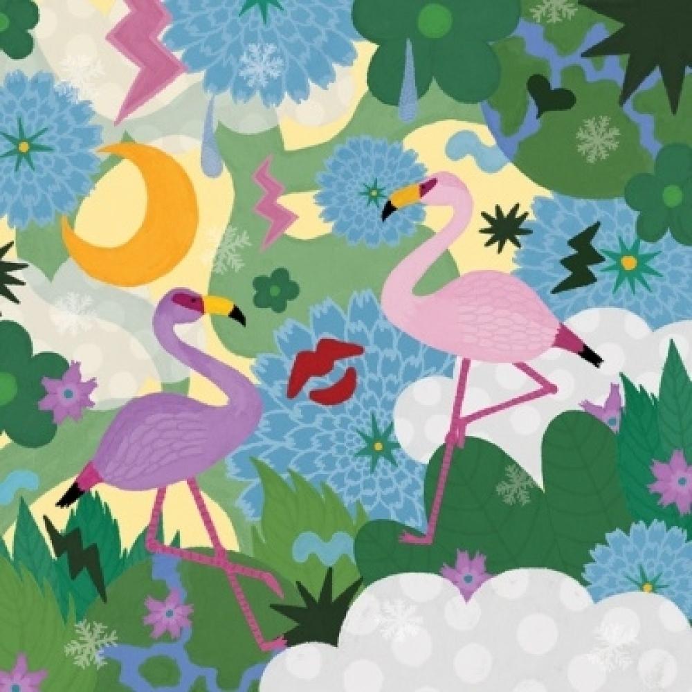 

Asahi Miho Flamingo Cosmos