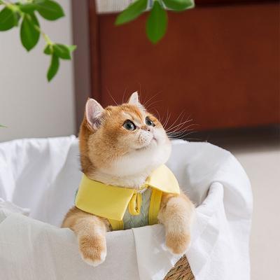 Haustierkleidung Frühling Sommer Dünne Atmungsaktive Weste Muppet Saison Katze Teddy Bigbear Welpe Katze Hund Katze Kleidung