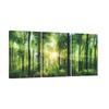 Art Forest Nature Green Feng Shui Porch Forest Greenery Home Lucky Finished Wooden Frame X 3 1 Forest 3-Panel Panel, Landscape, Painting, Mural,