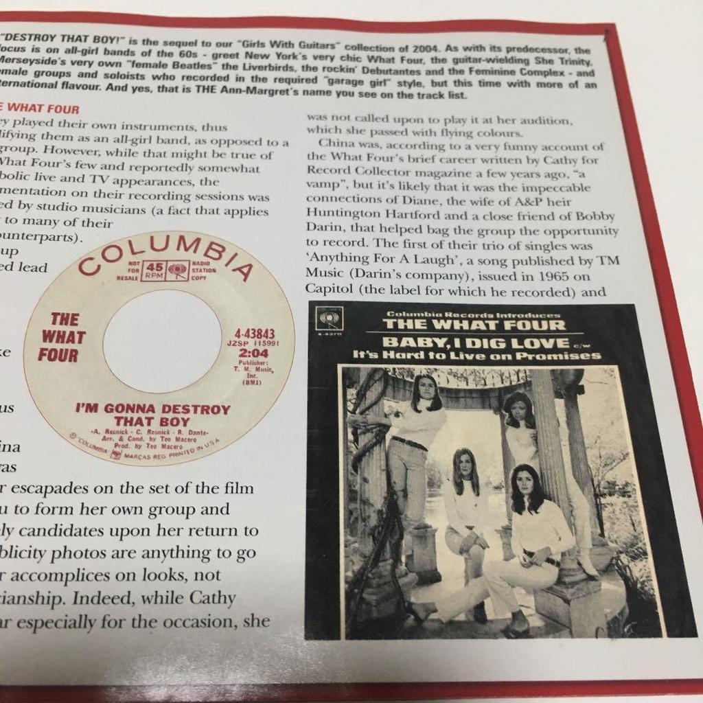 [USED] V.A. / DESTROY THAT BOY! (CD) Import Disc