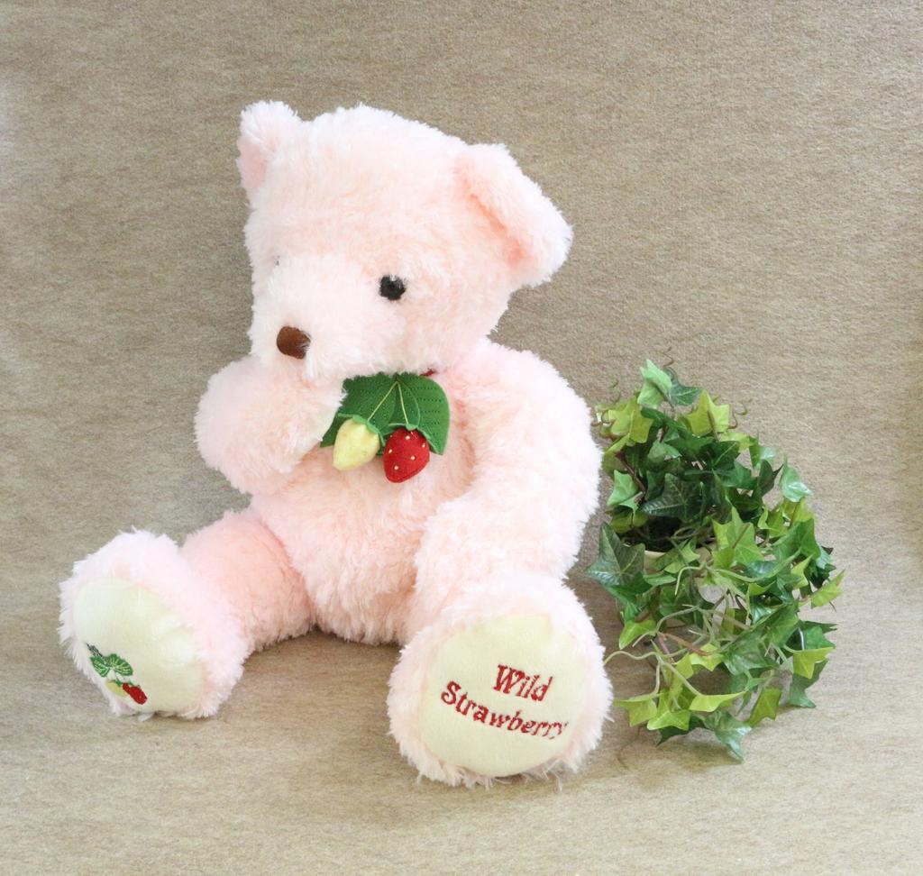 Wild Strawberry Bear L Pink