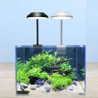 Peces y mascotas acuáticas – Luces para acuario