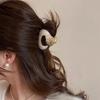 Elegant Geometric Hair Claw Acetic Acid Hair Clip New Shark Clip  Hair Accessories