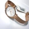 Used [New] SKAGEN SKW2151 mesh band