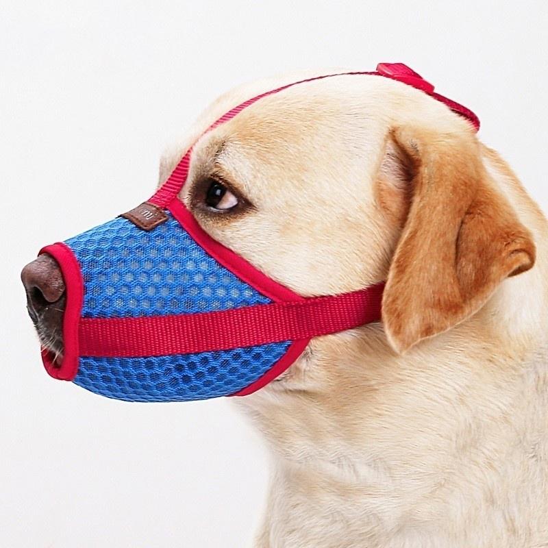 dog muzzle for licking