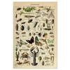 Vintage-Leinwandgemälde mit Gemüse, Früchten, Pilzen, antike Wandkunst, botanische Bilder, wissenschaftliche Poster und Drucke, Heimdekoration
