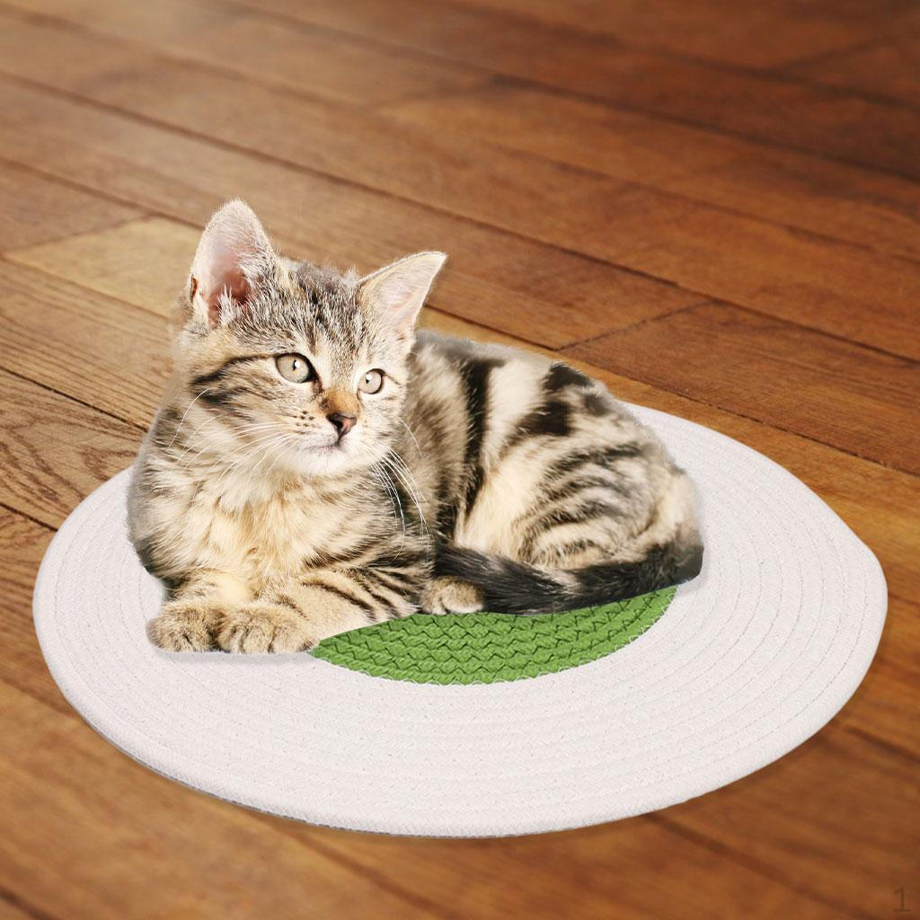 Pad Rope 15.8inch Sleeping Carpet Scratching Mat for Small and Medium Cat Dog Protecting