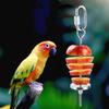 2Pcs Rust-proof Bird Feeder for Cage Parrot Fruit Skewers  For Macaw Parakeet Parrot Budgie