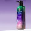 Dr. Groot Microbiome Genesique 7 Shampooing fortifiant pour cuir chevelu Parfum d'agrumes, 400 ml, 1 pièce