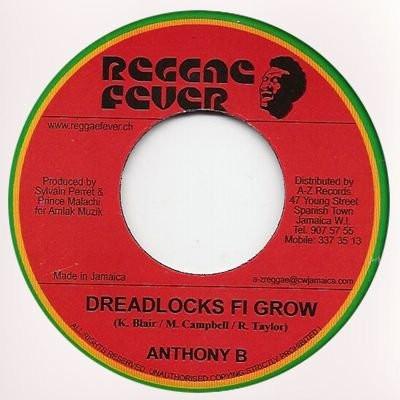 

7inch Record ANTHONY B Dreadlocks Fi Grow RF009 Reggae Fever 2006 Switzerlan Reggae Ska Dub Used