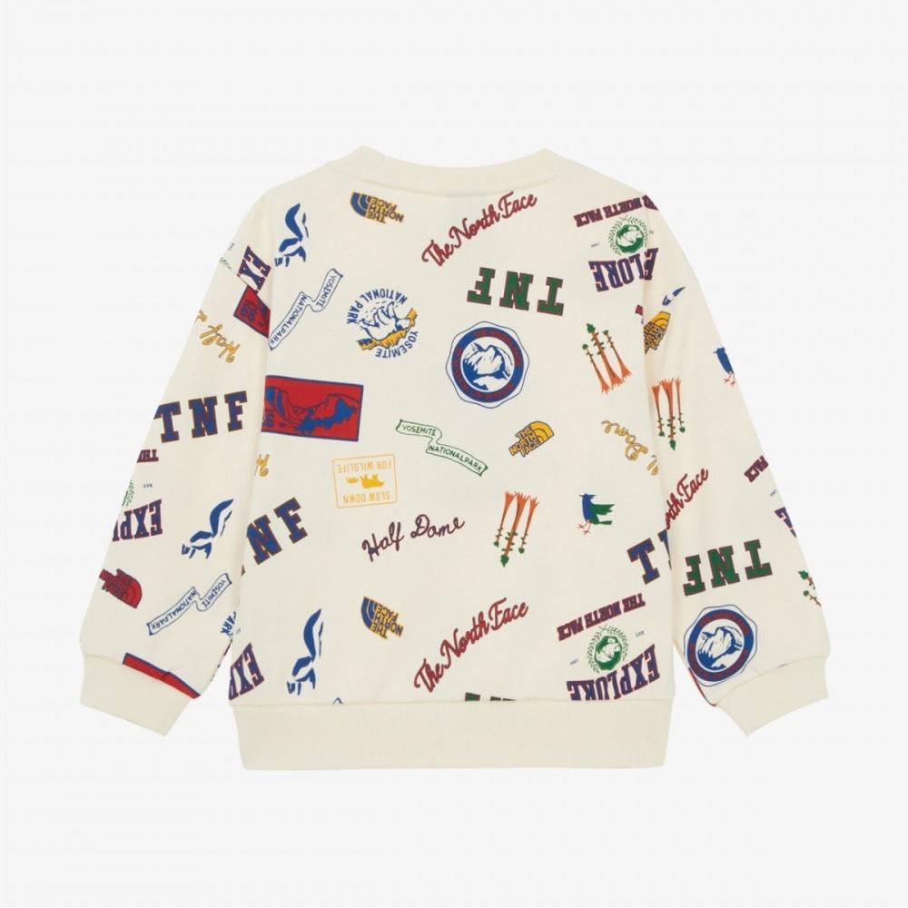 The North Face Kids Wild Patch Sweatshirt Cream Nm5mr52t