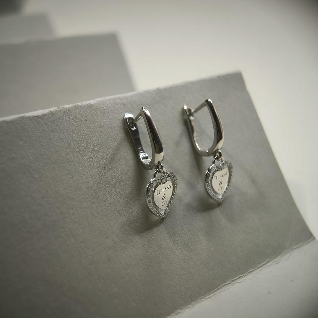 Silver Earrings with Cubic Zirkonia (2177500)