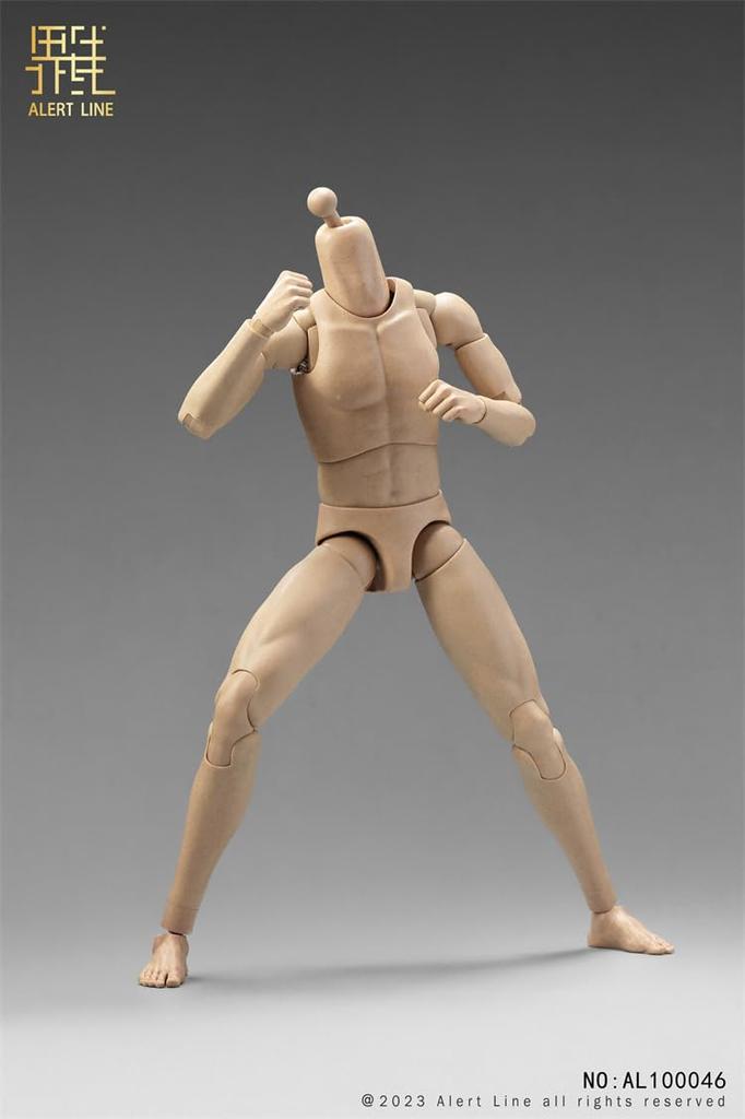 Spielzeug & Hobby [TOYBARJAPAN] 1/6 Maßstab Actionfigur ALERT LINE AL100046 Männlicher Körper