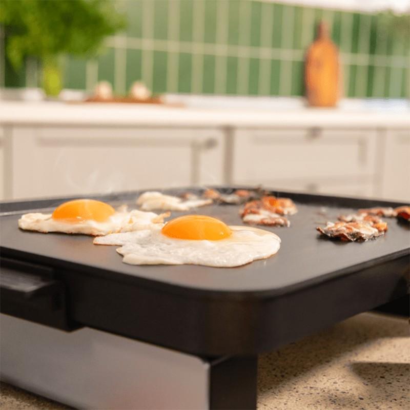 Schneider Scpl1800mag Plancha with Removable Plate