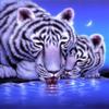 Full Drill Square Diamond Painting Tiger Needlework Art Diamond Embroidery Animal Diamond Mosaic Handicraft Home Decor