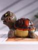 1pc Home Turtle tabletop decoration Resin home decor Garden decor Creative sea creatures