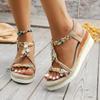Large Size Wedge Heel Sandals Women's 2025 Summer New Bohemian Style Platform Elastic Casual Sandals Women