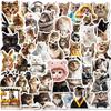 10 30 50 Stück Lustige Süße Katzen Meme Tiere Aufkleber Ästhetisch Kawaii Abziehbild DIY Laptop Gitarre Skateboard Wasserdichter Graffiti Aufkleber