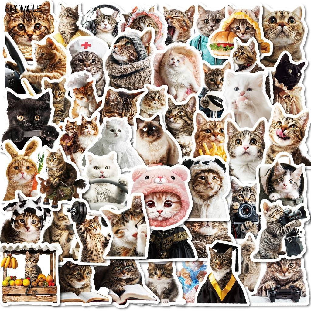 10 30 50 Stück Lustige Süße Katzen Meme Tiere Aufkleber Ästhetisch Kawaii Abziehbild DIY Laptop Gitarre Skateboard Wasserdichter Graffiti Aufkleber