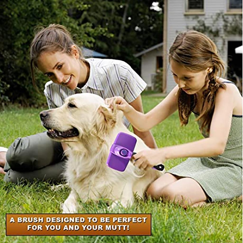 Dies ist der beste Hund und die beste Bürste für Haarausfall und Schönheit, universell für jede Haarlänge