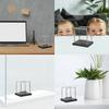 Collision Energy Conservation Ball Book Nook Physics Science Toy Newton Balance Ball Interior Decoration Desk Accessories Home