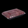 WSM Disposable 4-Compartment Divided Lunch Box
