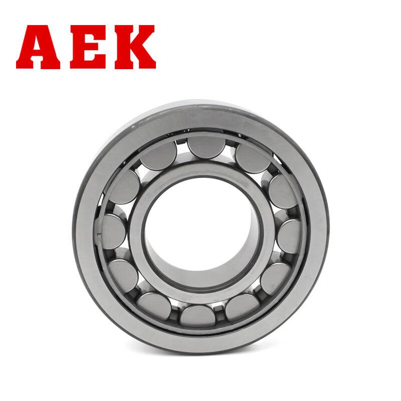 AEK Cylindrical Roller Bearing