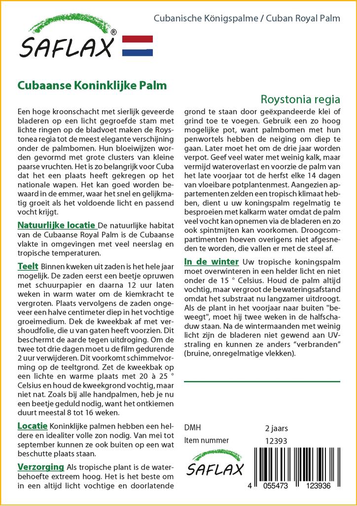 SAFLAX Cuban Royal Palm - 8 Seeds - With Potting Substrate for Better Cultivation - Roystonia Regia